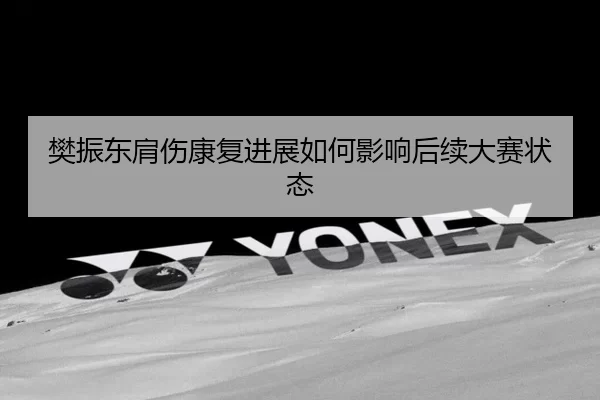 樊振东肩伤康复进展如何影响后续大赛状态