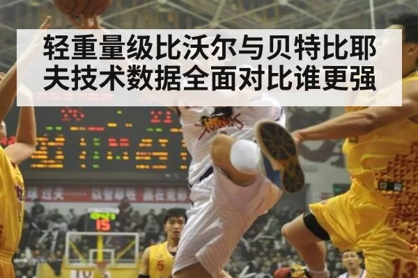 轻重量级比沃尔与贝特比耶夫技术数据全面对比谁更强