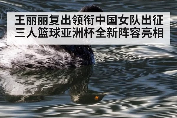王丽丽复出领衔中国女队出征三人篮球亚洲杯全新阵容亮相